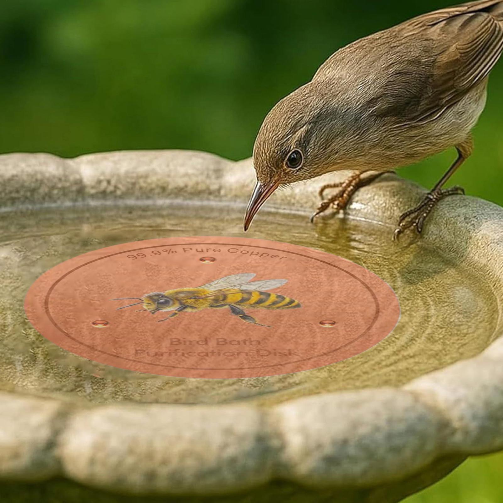 Bird Bath Water Purification D - Men'S Accessories Tray ulasan dan harga