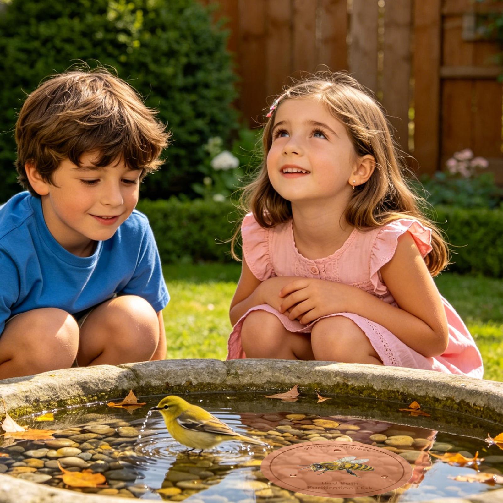 Bird Bath Water Purification D - Men'S Accessories Tray ulasan dan harga